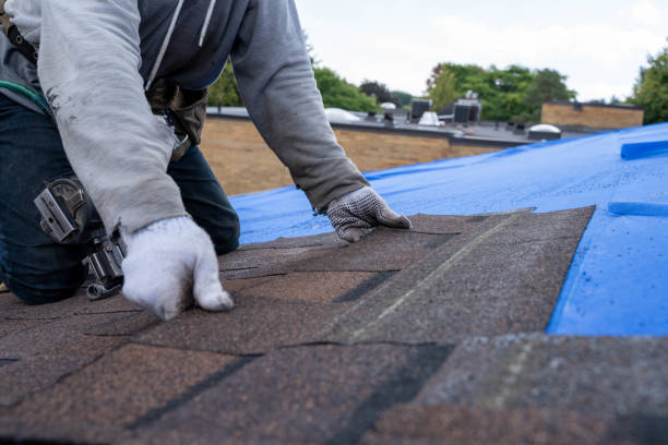Best Roof Repair Estimates  in Wooster, AR