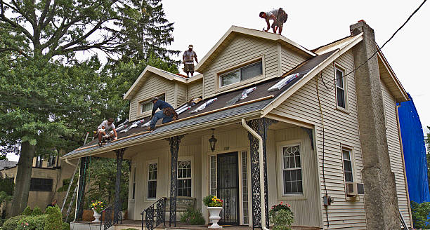 Best Roof Gutter Cleaning  in Wooster, AR