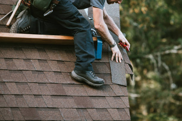 Best Roof Leak Repair  in Wooster, AR