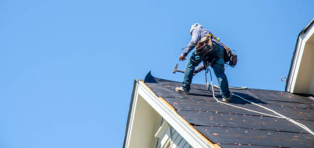 Best Roof Repair Services  in Wooster, AR